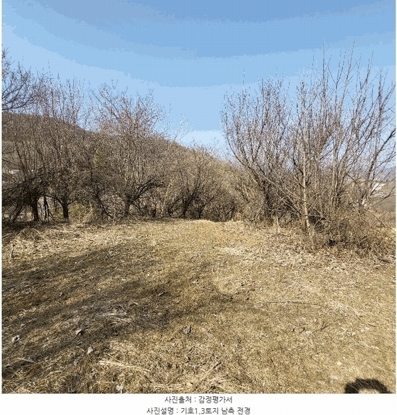 2025타경131 경상북도 문경시 신기동 387-1 농지 경매 이미지