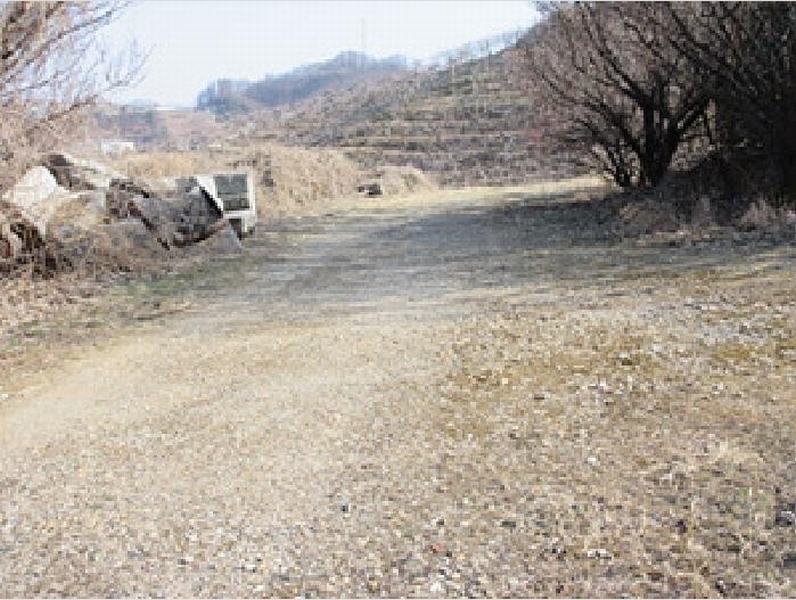 2025타경131 경상북도 문경시 신기동 387-1 농지 경매 이미지