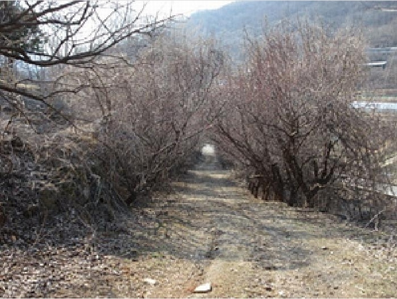 2025타경131 경상북도 문경시 신기동 387-1 농지 경매 이미지