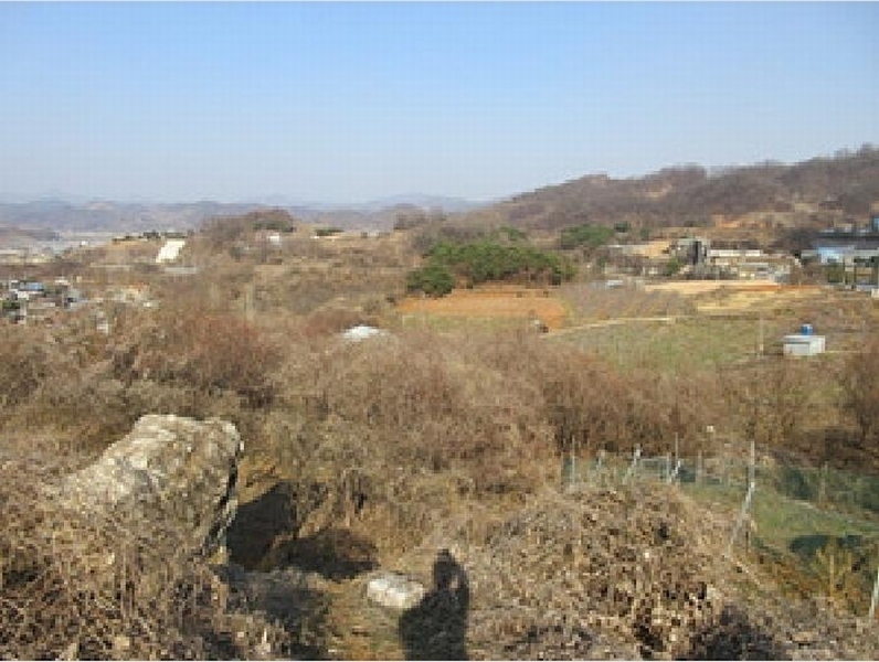 2025타경131 경상북도 문경시 신기동 387-1 농지 경매 이미지