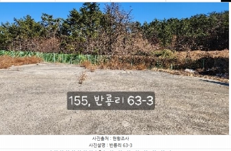 2025타경155 부산광역시 기장군 장안읍 반룡리 63 공장 경매 이미지