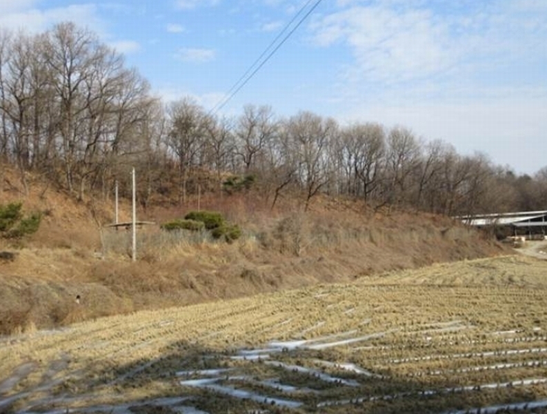 2025타경5034 경상북도 예천군 감천면 유리 445 농지 경매 이미지