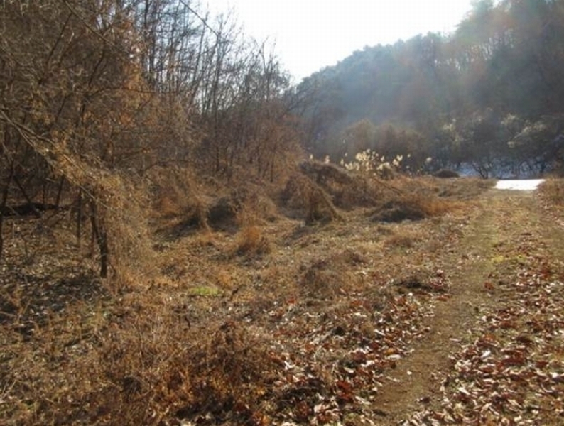 2025타경5058 경상북도 예천군 호명읍 원곡리 336 농지 경매 이미지