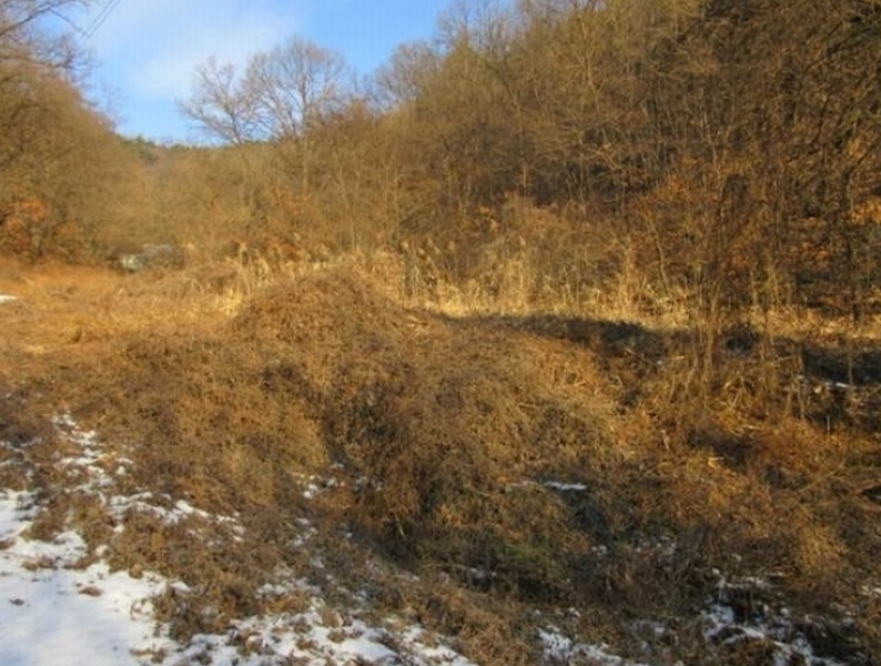 2025타경5058 경상북도 예천군 호명읍 원곡리 336 농지 경매 이미지