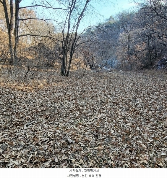 2025타경5058 경상북도 예천군 호명읍 원곡리 336 농지 경매 이미지