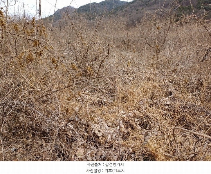 2025타경5072 경상북도 상주시 연원동 360-1 농지 경매 이미지