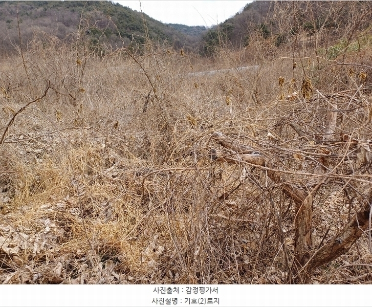 2025타경5072 경상북도 상주시 연원동 360-1 농지 경매 이미지