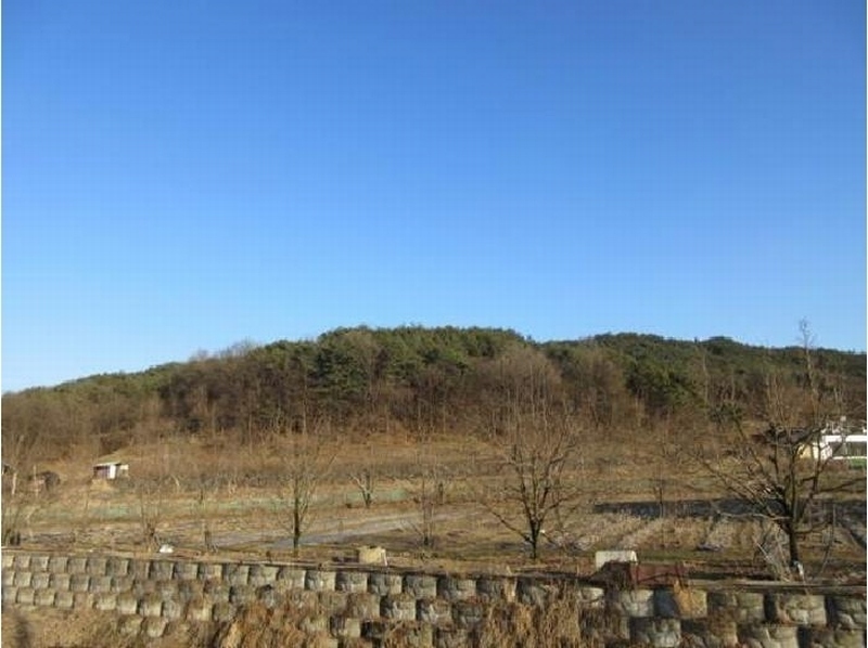 2025타경5133 경상북도 상주시 낙동면 상촌리 산32-8 임야 경매 이미지