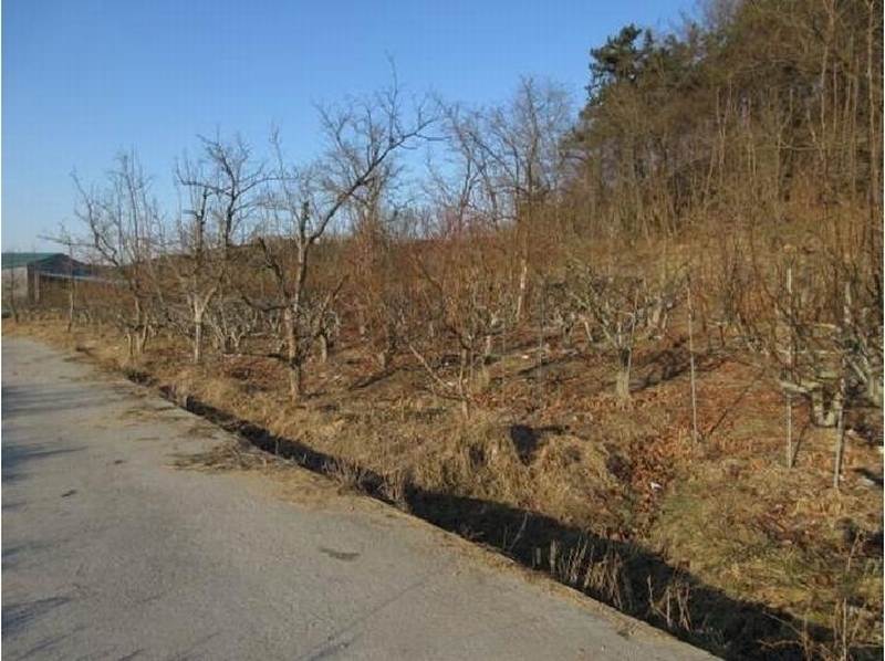 2025타경5133 경상북도 상주시 낙동면 상촌리 산32-8 임야 경매 이미지