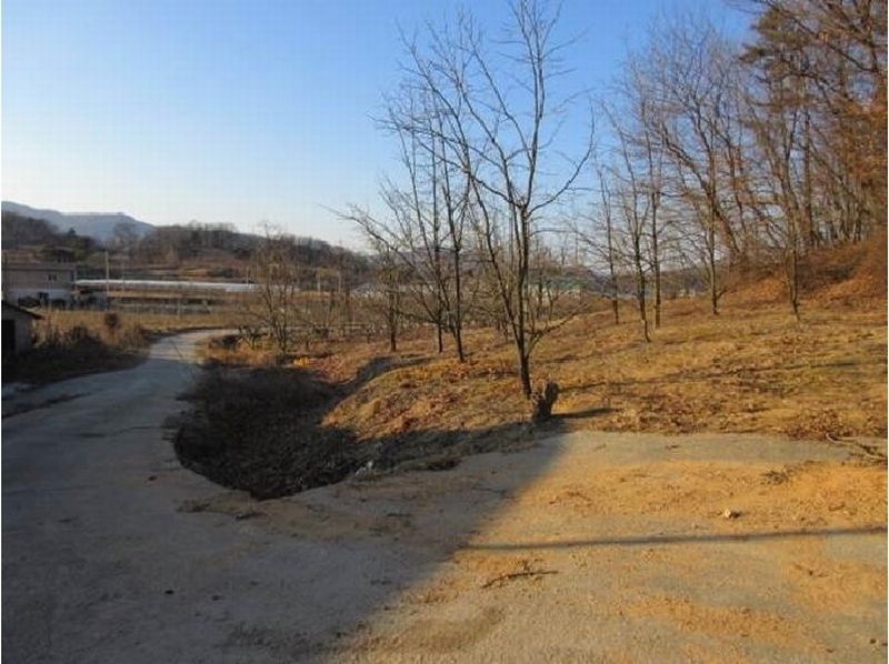 2025타경5133 경상북도 상주시 낙동면 상촌리 산32-8 임야 경매 이미지
