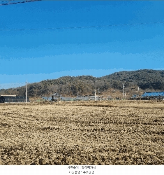 2025타경5133 경상북도 상주시 낙동면 상촌리 산32-8 임야 경매 이미지