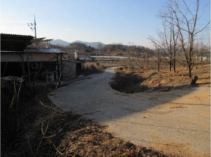 2025타경5133 경상북도 상주시 낙동면 상촌리 산32-8 임야 경매 이미지