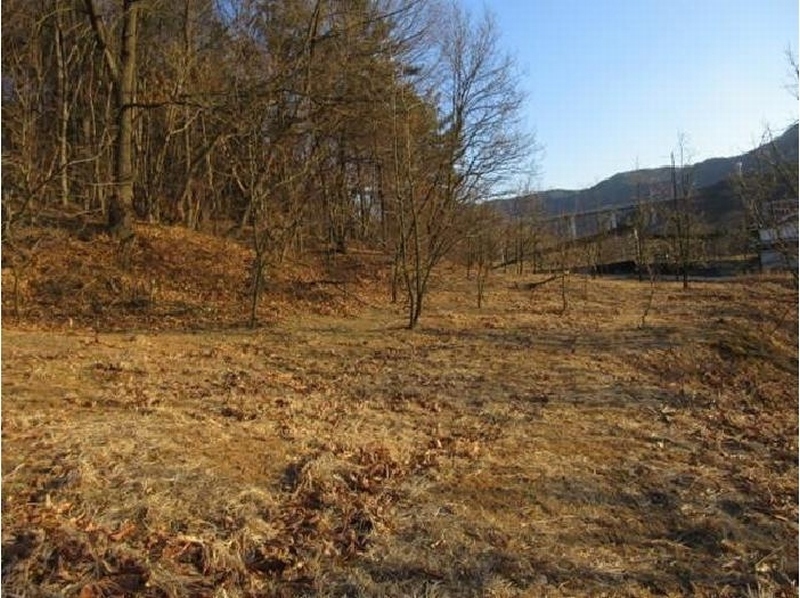 2025타경5133 경상북도 상주시 낙동면 상촌리 산32-8 임야 경매 이미지
