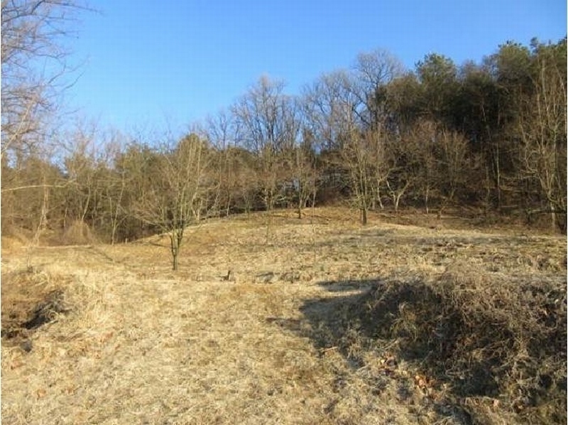 2025타경5133 경상북도 상주시 낙동면 상촌리 산32-8 임야 경매 이미지