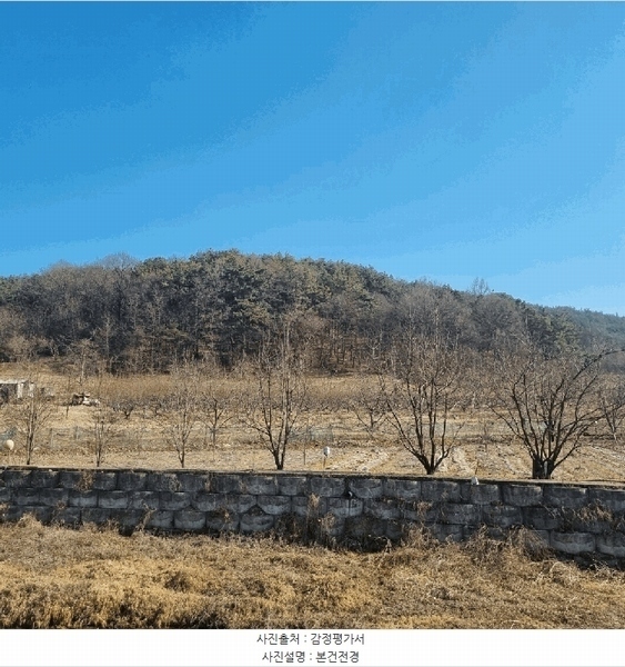 2025타경5133 경상북도 상주시 낙동면 상촌리 산32-8 임야 경매 이미지