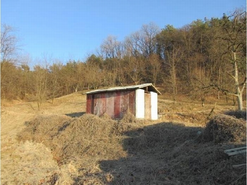 2025타경5133 경상북도 상주시 낙동면 상촌리 산32-8 임야 경매 이미지