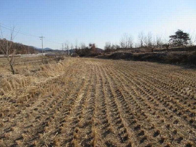 2025타경5195 경상북도 예천군 지보면 어신리 672-3 농지 경매 이미지