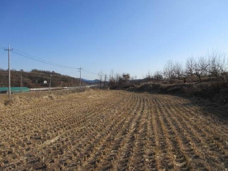 2025타경5195 경상북도 예천군 지보면 어신리 672-3 농지 경매 이미지