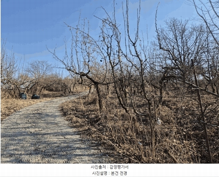2025타경5218 경상북도 상주시 공검면 오태리 59-8 과수원 경매 이미지