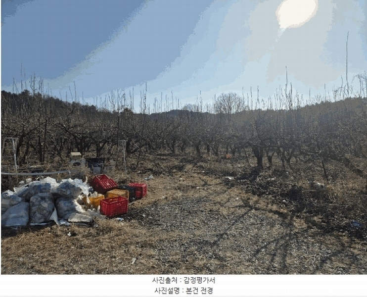 2025타경5218 경상북도 상주시 공검면 오태리 59-8 과수원 경매 이미지
