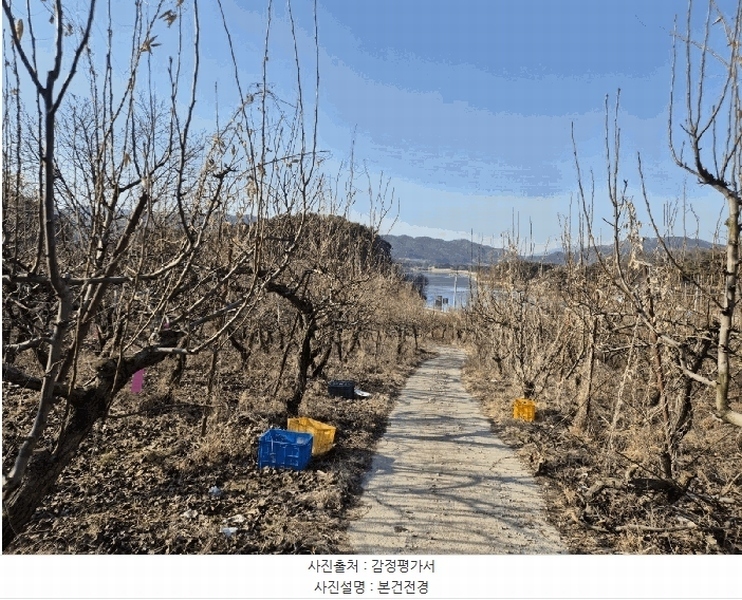 2025타경5218 경상북도 상주시 공검면 오태리 59-8 과수원 경매 이미지
