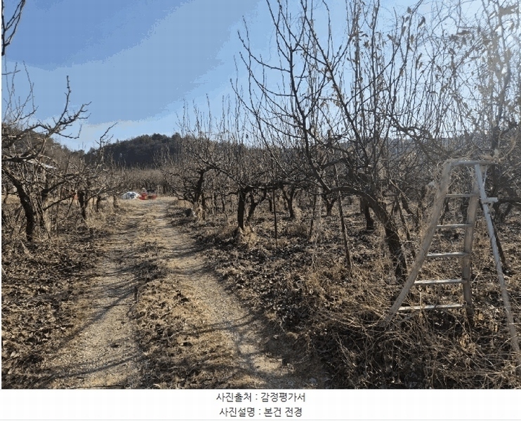 2025타경5218 경상북도 상주시 공검면 오태리 59-8 과수원 경매 이미지