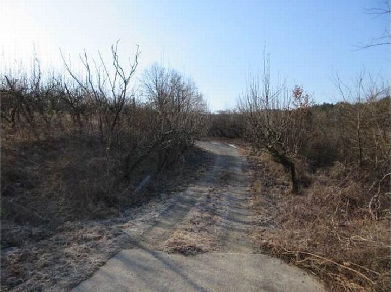 2025타경5218 경상북도 상주시 공검면 오태리 59-8 과수원 경매 이미지