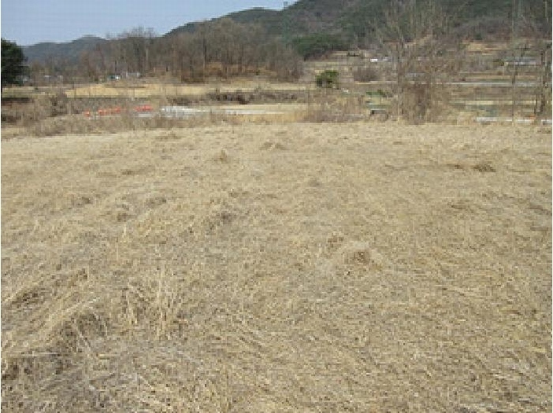 2025타경5235 경상북도 예천군 예천읍 대심리 661 농지 경매 이미지