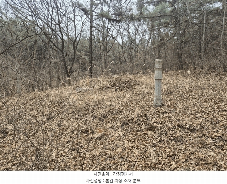 2025타경5237 경상북도 상주시 낙동면 물량리 546 농지 경매 이미지