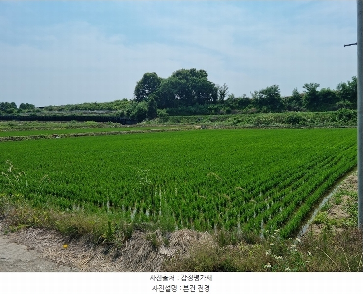2023타경1069 경상북도 예천군 호명면 종산리 484-1 농지 경매 이미지