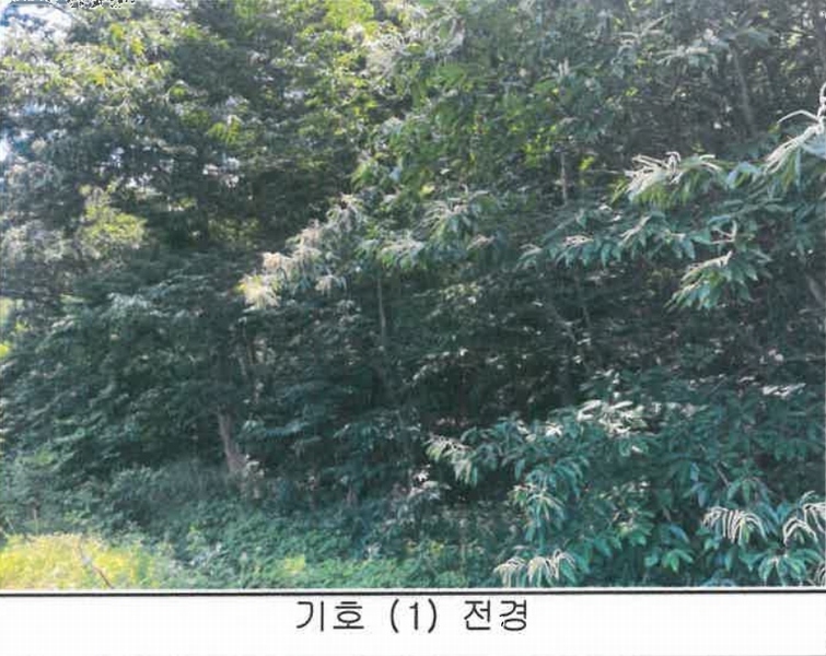 2023타경71167 경상북도 예천군 지보면 어신리 531-5 농지 경매 이미지