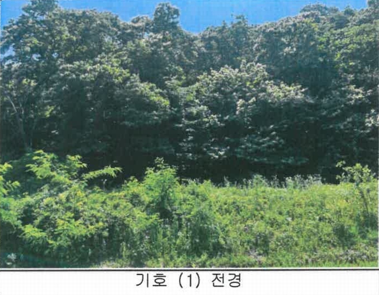 2023타경71167 경상북도 예천군 지보면 어신리 531-5 농지 경매 이미지