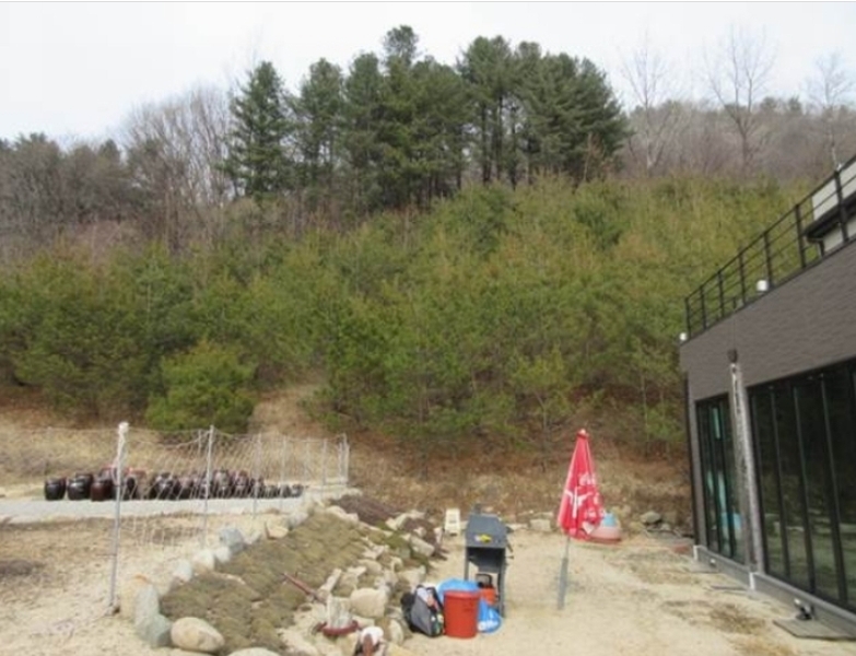 2024타경285 경상북도 문경시 농암면 내서리 737 주택 경매 이미지
