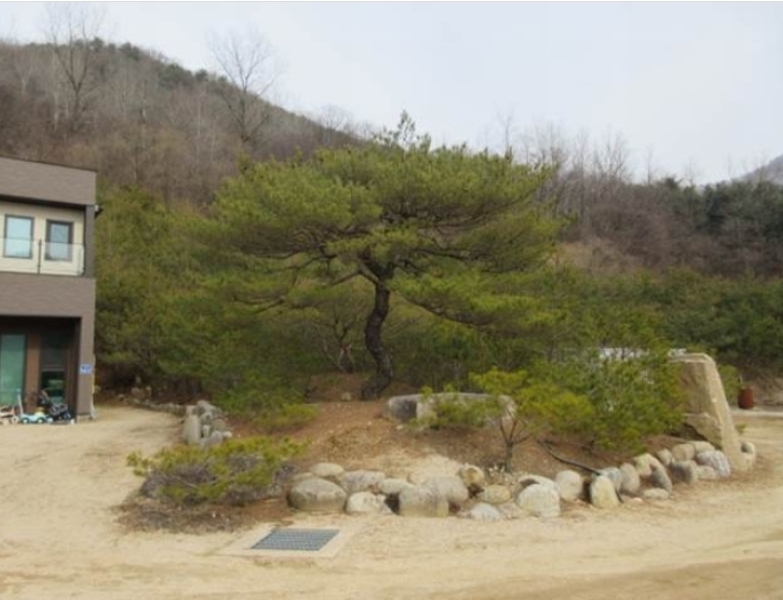 2024타경285 경상북도 문경시 농암면 내서리 737 주택 경매 이미지