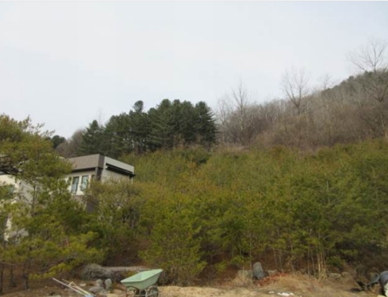 2024타경285 경상북도 문경시 농암면 내서리 737 주택 경매 이미지