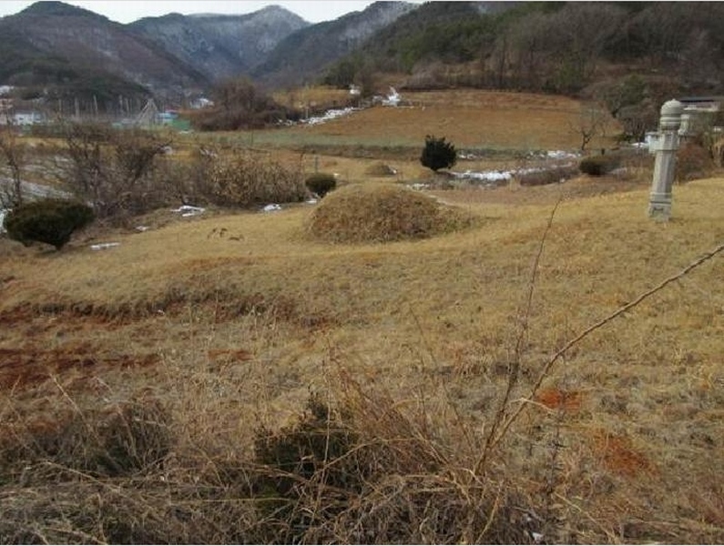 2024타경1967 경상북도 문경시 가은읍 작천리 686-1 농지 경매 이미지