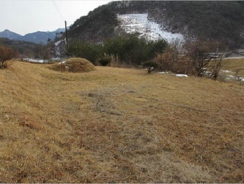 2024타경1967 경상북도 문경시 가은읍 작천리 686-1 농지 경매 이미지