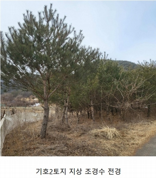 2024타경1967 경상북도 문경시 가은읍 작천리 686-1 농지 경매 이미지