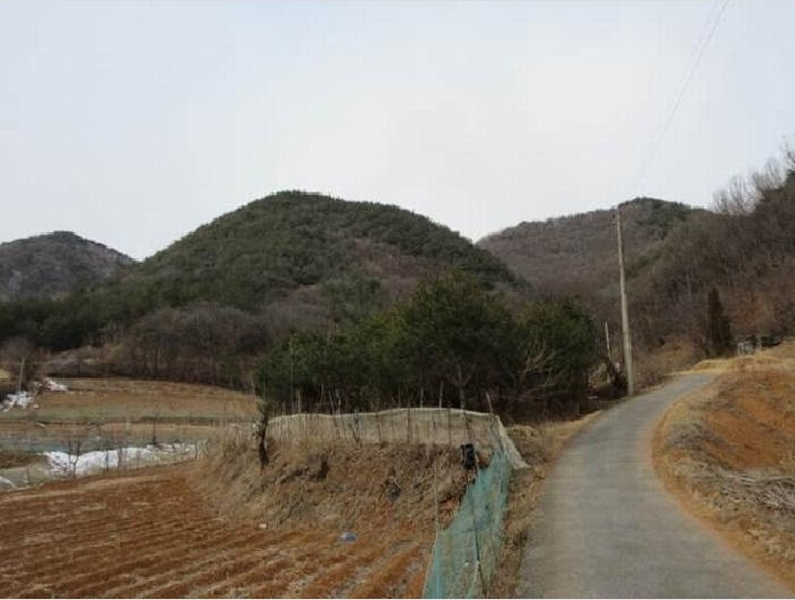 2024타경1967 경상북도 문경시 가은읍 작천리 686-1 농지 경매 이미지