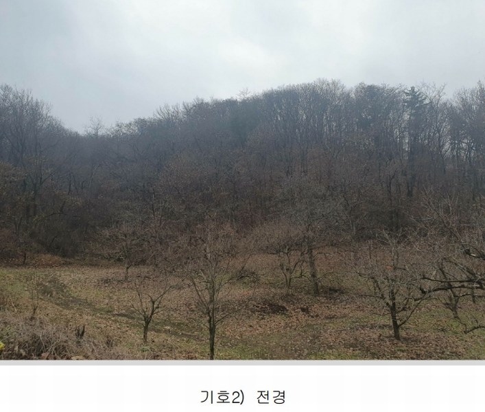 2024타경1981 경상북도 상주시 외남면 지사리 산42 임야 경매 이미지