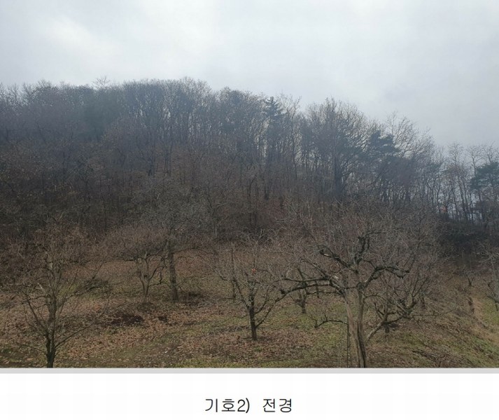 2024타경1981 경상북도 상주시 외남면 지사리 산42 임야 경매 이미지