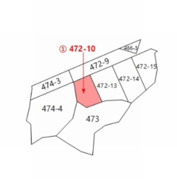 2024타경2045 경상북도 예천군 예천읍 대심리 472-10 임야 경매 이미지