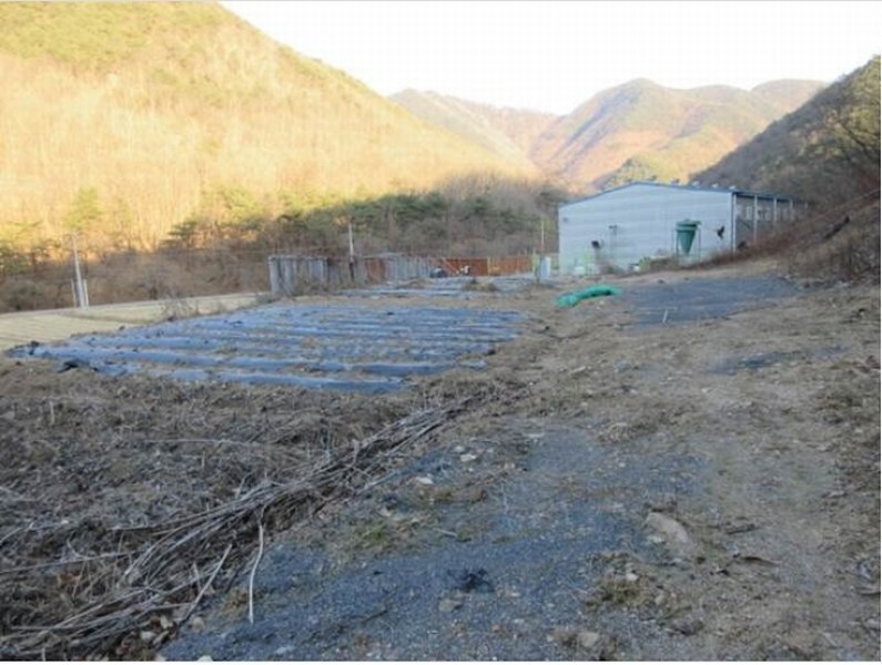 2024타경72969 경상북도 문경시 가은읍 갈전리 56-5 농지 경매 이미지