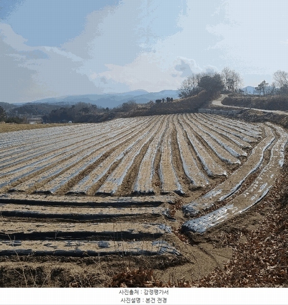 2025타경122 경상북도 예천군 예천읍 고평리 641 농지 경매 이미지
