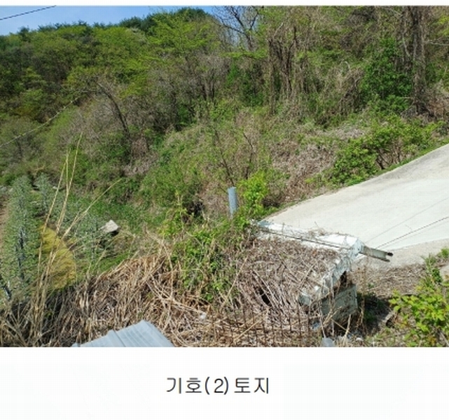 2025타경160 경상북도 예천군 효자면 용두리 749 임야 경매 이미지