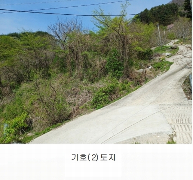 2025타경160 경상북도 예천군 효자면 용두리 749 임야 경매 이미지