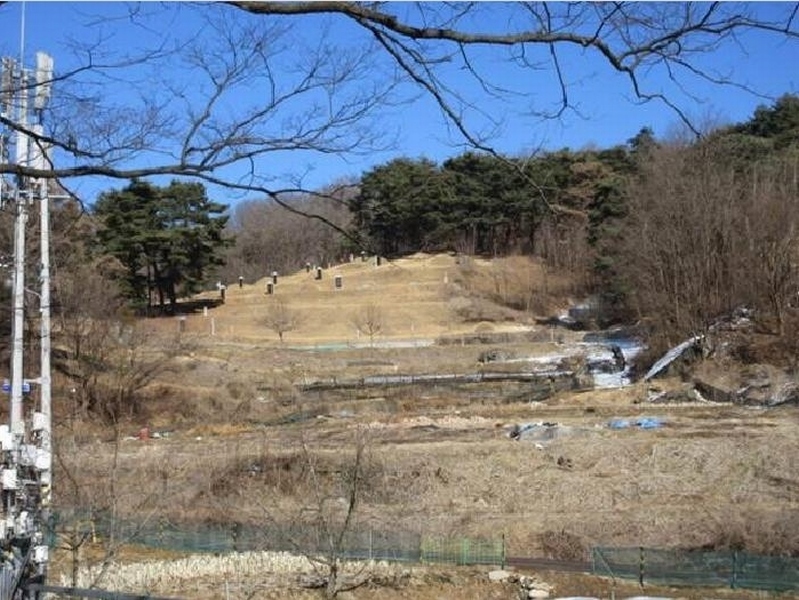 2025타경5201 경상북도 문경시 호계면 봉서리 153 농지 경매 이미지