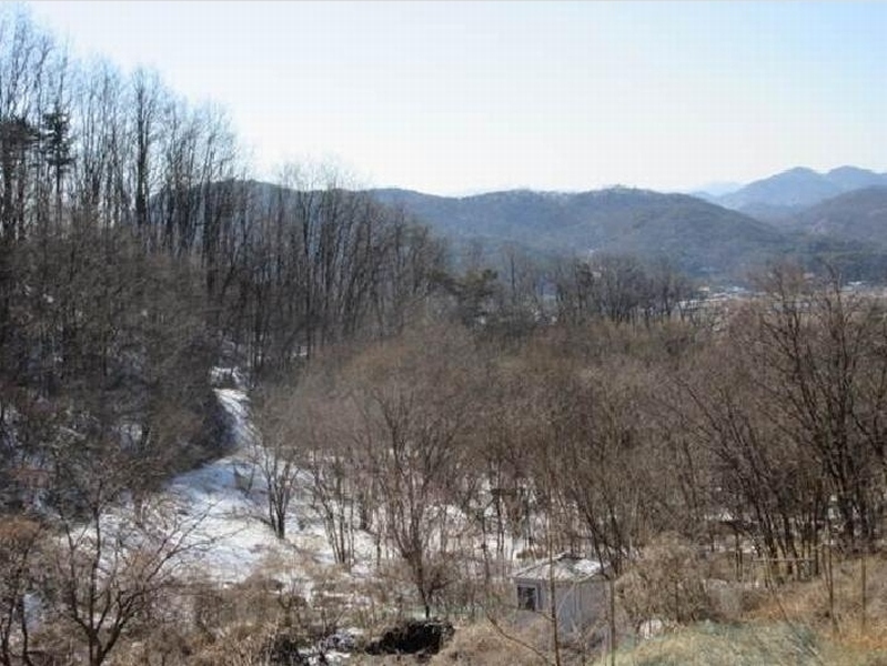 2025타경5201 경상북도 문경시 호계면 봉서리 153 농지 경매 이미지