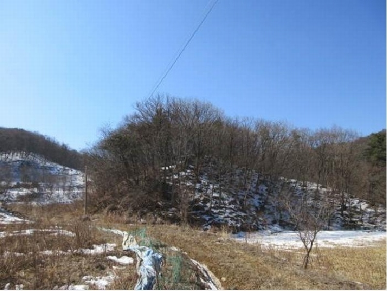 2025타경5225 경상북도 상주시 화동면 판곡리 산88 임야 경매 이미지