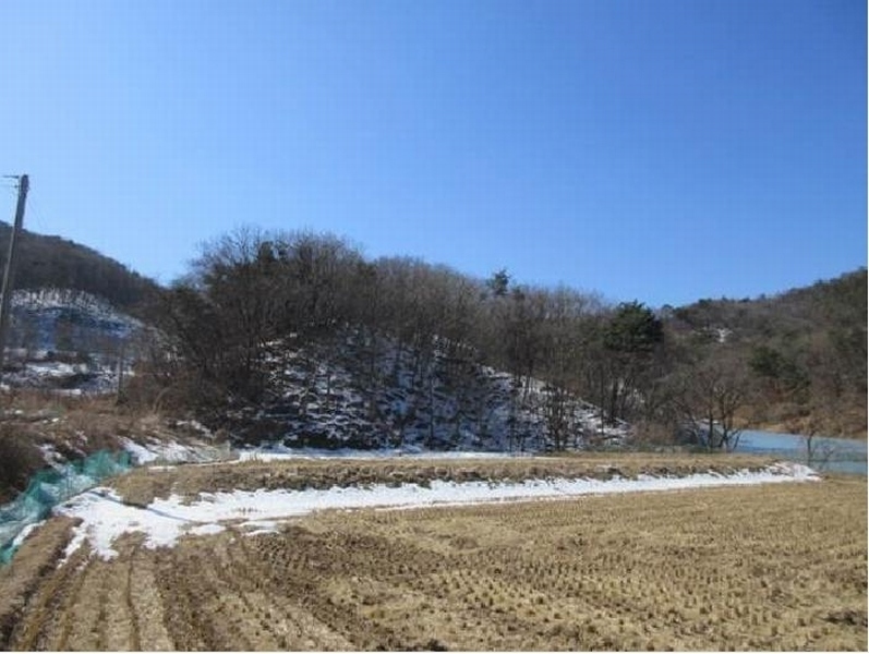 2025타경5225 경상북도 상주시 화동면 판곡리 산88 임야 경매 이미지